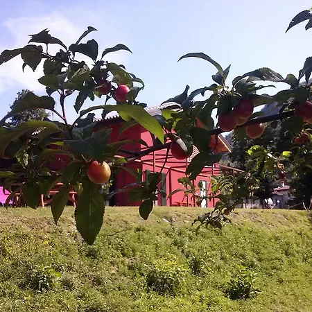 Casa Rossa Albergue Laveno-Mombello